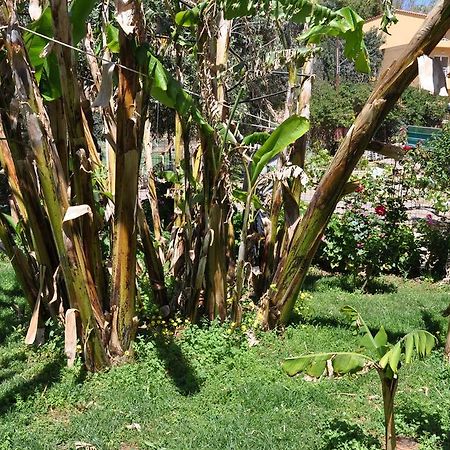 Bali Paradise Beach ภายนอก รูปภาพ